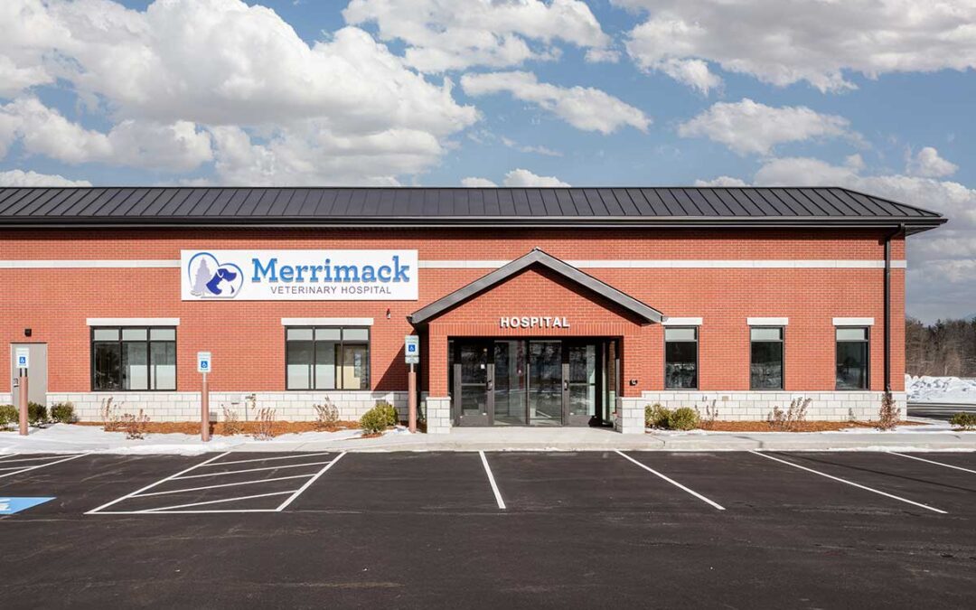 Merrimack Veterinary Hospital — New Ground-Up Facility Completed by DJSA Architects