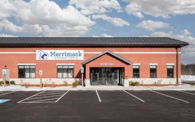 Merrimack Veterinary Hospital — New Ground-Up Facility Completed by DJSA Architects